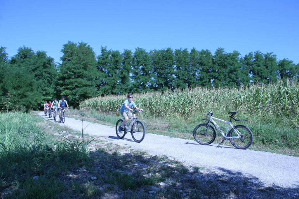 Camping Aquileia Exterior foto