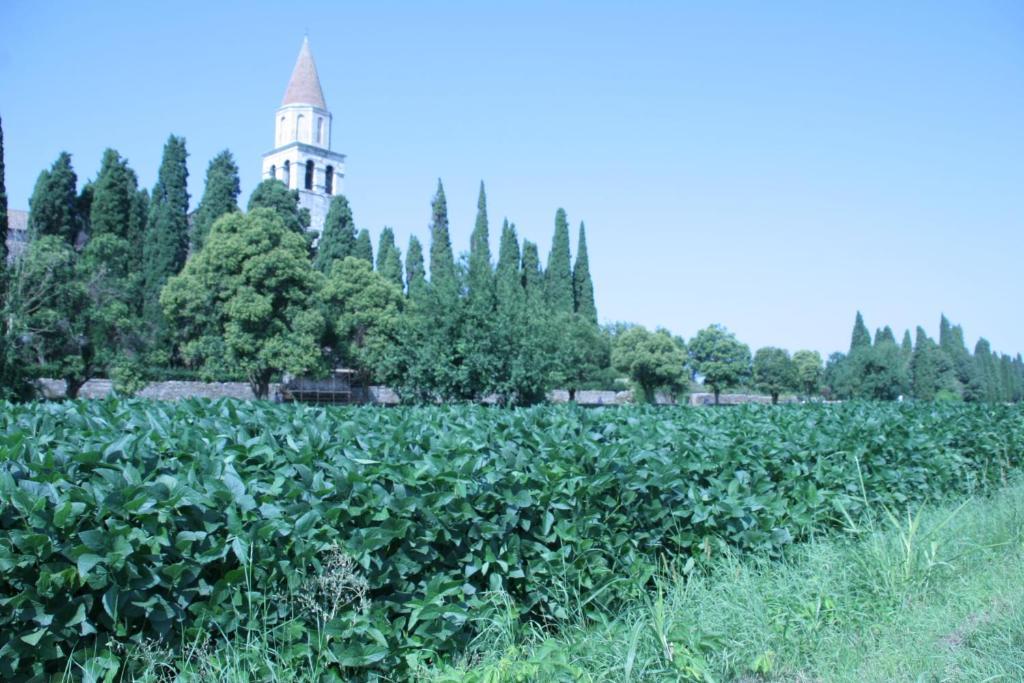 Camping Aquileia Exterior foto